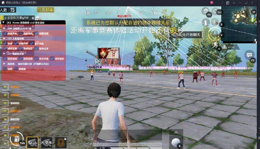 和平精英【初夏内核】辅助